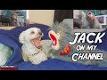 JACK on my CHANNEL