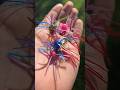 Have You Fished With These Before ЁЯШ ЁЯОг Godfirst Fishing Baitmaking Bassfishing Sportfishing Have You Fished With These Before ЁЯШ ЁЯОг Godfirst Fishing Baitmaking Bassfishing Sportfishing