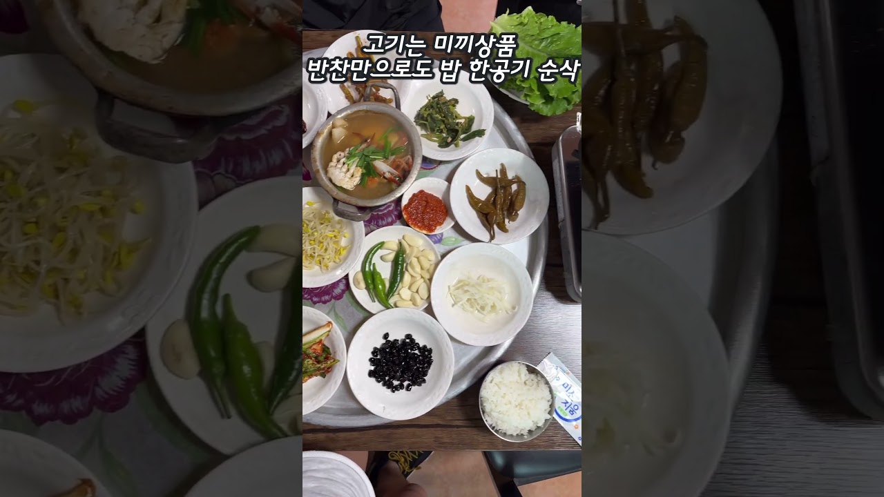고흥 토박이가 추천하는 전라남도 고흥 맛집  #고흥여행 #전라도맛집 #고흥 #고흥맛집