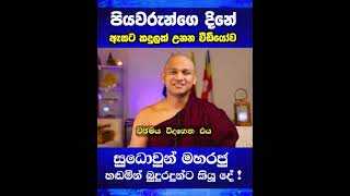 Father&#39;s Day| 2025.09.07| Buddhism In English| #fathersday #shorts