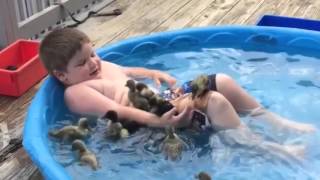 Best Of 2015 Cute Funny Animals