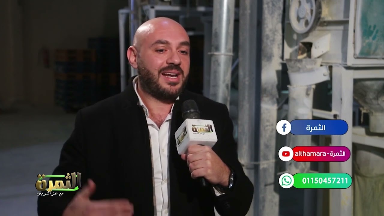 فى برنامج الثمرة الذرة المجروشة لتصنيع المقرمشات والتسالى والسناكس ونتائج مبهرة للابقار الحلاب