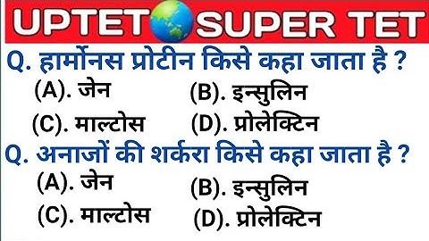 UPTET 2021 || Super TET EVS Important Questions || Super TET || UP LEKHPAL || SSC || RRB || UPPET