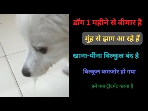 वीडियो: क्या झाग के फूल आक्रामक होते हैं?