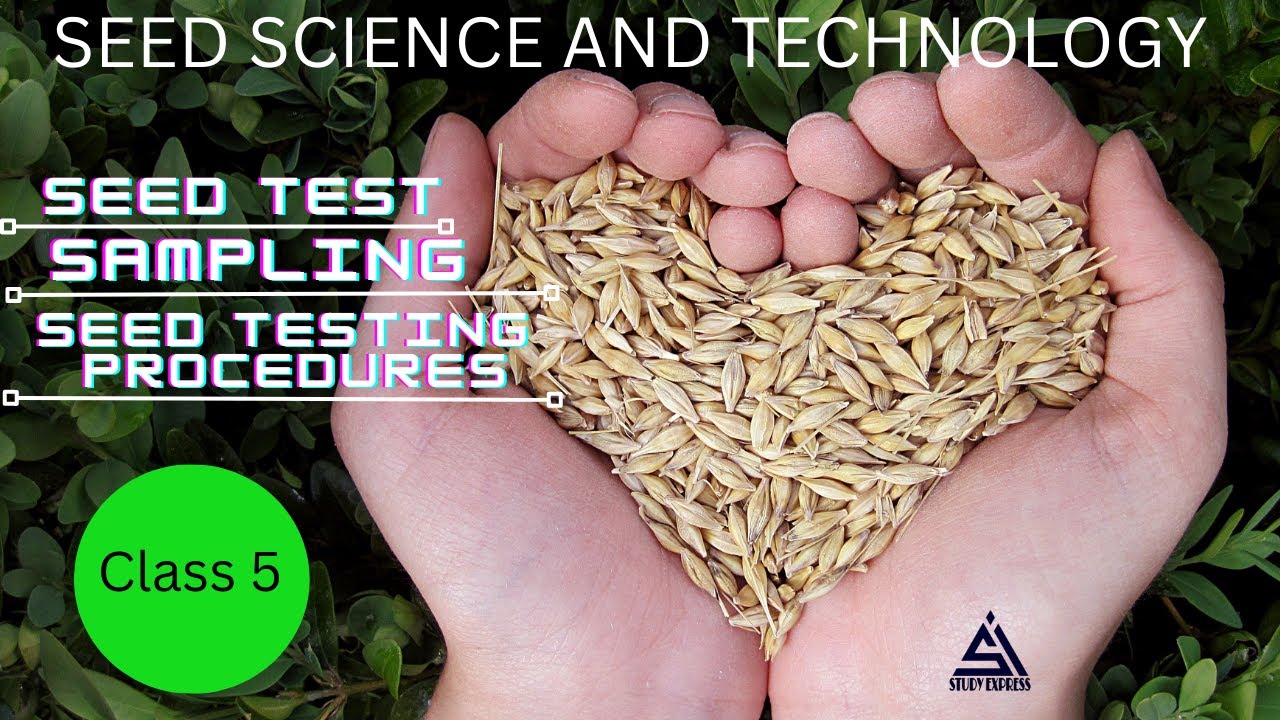 Seed Testing/ Seed sampling/ ISTA Standards/ Sampling procedures/ Seed