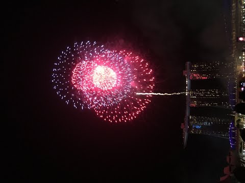 2019新年新加坡魚尾獅公園跨年倒數計時