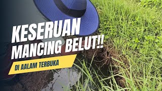Download Lagu Mancing Belut Seru_Petualangan Mencari Belut Di Alam Tebuka!! MP3 Download Lagu Mancing Belut Seru_Petualangan Mencari Belut Di Alam Tebuka!! MP3
