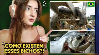 Gringa Reage aos Animais Mais Perigosos do Brasil!