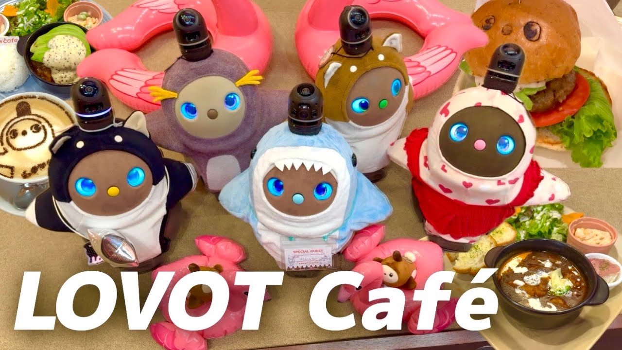 【LOVOTカフェ】みんとと楽しむお食事タイムとらぼっと交流♡