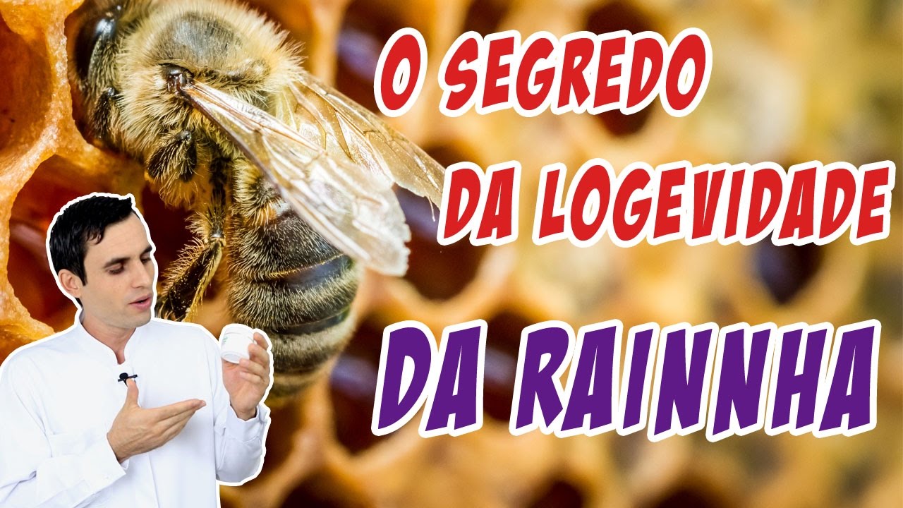naturopatia medicina natural O Super Alimento que faz a Rainha Viver até 60x Mais que suas Irmãs Gêmeas