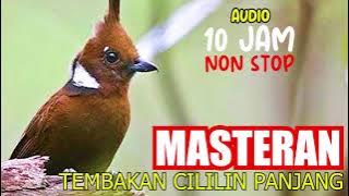 MASTERAN SUARA TEMBAKAN CILILIN PANJANG UNTUK BURUNG KICAU, AUDIO 10 JAM NON STOP