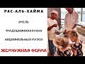 Отдых в Рас-аль-Хайма Жемчужная Ферма Национальный музей Ресторан традиционной кухни Отель