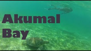 Swimming with Sea Turtles in Akumal Bay - Riviera Maya, Mexico