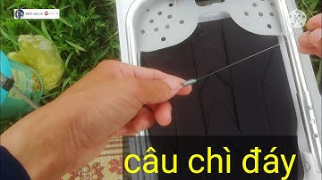 Câu đài tự nhiên.Cách câu chì đáy.câu cá sông.cận cảnh phao.