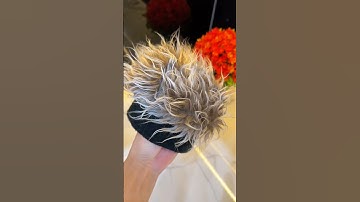 Mũ tóc giả phong cách trẻ trung hot trend đã có hàng trở lại #thutiensinh #mutocgia