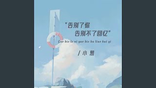 告别了你告别不了回忆