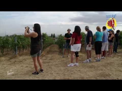 Tuscany Day Tours