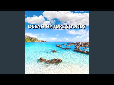 Ocean Sounds
