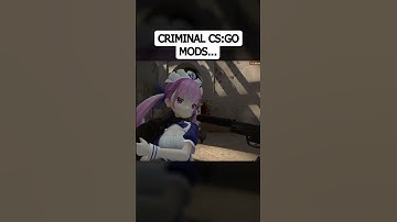 The Most Criminal CSGO Mod...