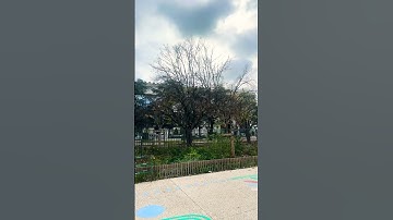 #egzonibrahimi #سورة_الإخلاص #ikhlas #lifeisbutadream #outdooradventure #outdoors #viral #videos