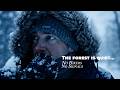 If You Ever Get Lost: How to Signal for Rescue Fast