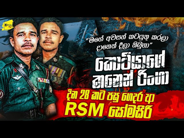 දින 28කට පසු කොටියාගේ කනෙන් රිංගා ආ RSM සෝමසිරිගේ බිහිසුණු මතකය | WANESA TV class=