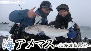 Blooowinジャークで攻略！北海道の海アメマスを狙う！！