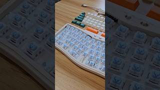 ประกอบคีย์บอร์ด Custom Keyboard #extremeit #keyboard