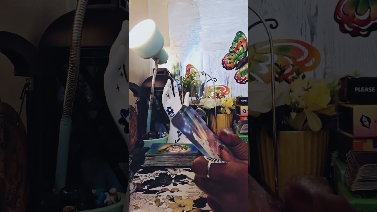 🎭В этой истории было гораздо больше, чем они рассказали! Эти женщины в ярости😡 и удивлены😱 Юридич...