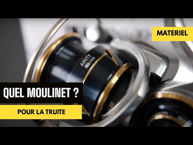 Daiwa Moulinet Pêche Revros LT 6000 Frein Arvant Mer Carpe Truite Carnassiers Spinning Feeder