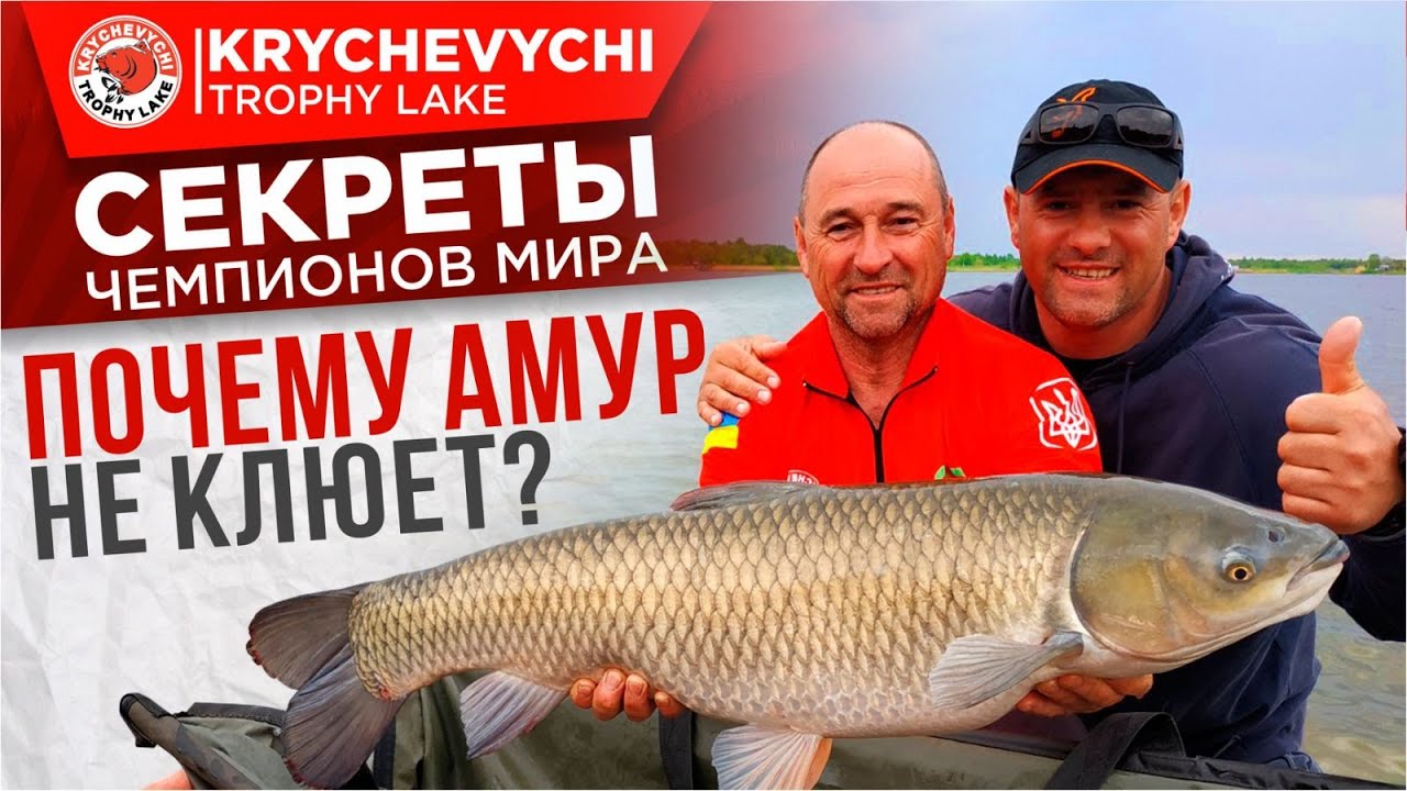 Не клюет на волге Не клюет на волге