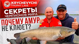 Почему амур НЕ КЛЮЕТ!