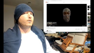 SL - Little Bird | REACTION