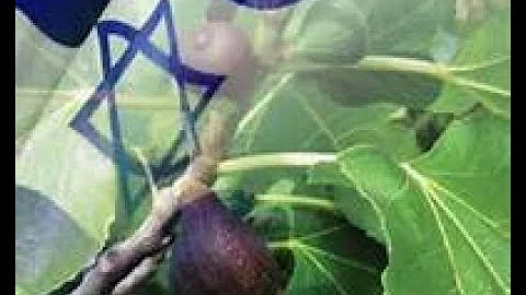 Be ready for we are in the fig tree generation