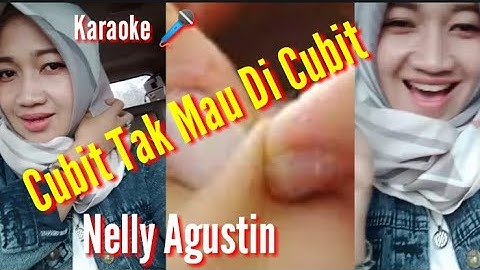 Cubit Tak Mau Di Cubit  NELLY AGUSTIN (Karaoke Lyrics)