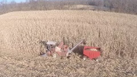 Picking Corn with a New Idea Uni System -  December 2017