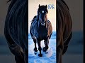 The Power of Freedom | Majestic Black Horse Running 🐎🖤 #horse