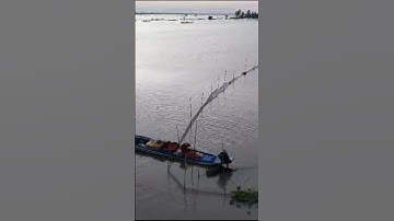 quê em mùa nước nổi cận cảnh quá đẹp