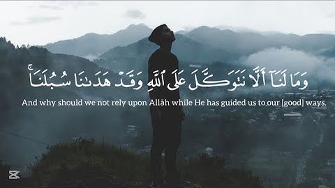 صوته يأخذك إلى عالم آخر 😴🤍 تلاوة هادئة بصوت جميل تريح القلب🫀🎧