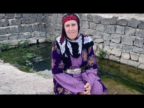 فلم وثائقي عن حياة كجا كوردا