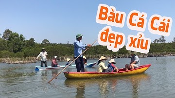 Đi Cho Biết Bầu Cá Cái Có Rừng Cóc Trắng Đẹp Nhất Việt Nam | #thuongkhoailang