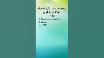 logical questions interesting questions ias questions #gkquestions