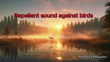 8 Hours of Ultrasonic Bird Repellent | High-Frequency Sound | Keep Birds Away
