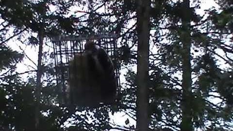 Audio Visual Catnip-September 2014 Mix