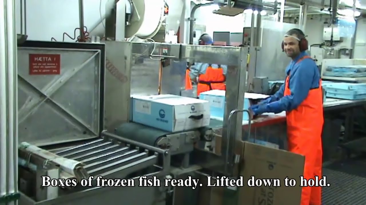 Fishing and processing on a freezing trawler. - YouTube