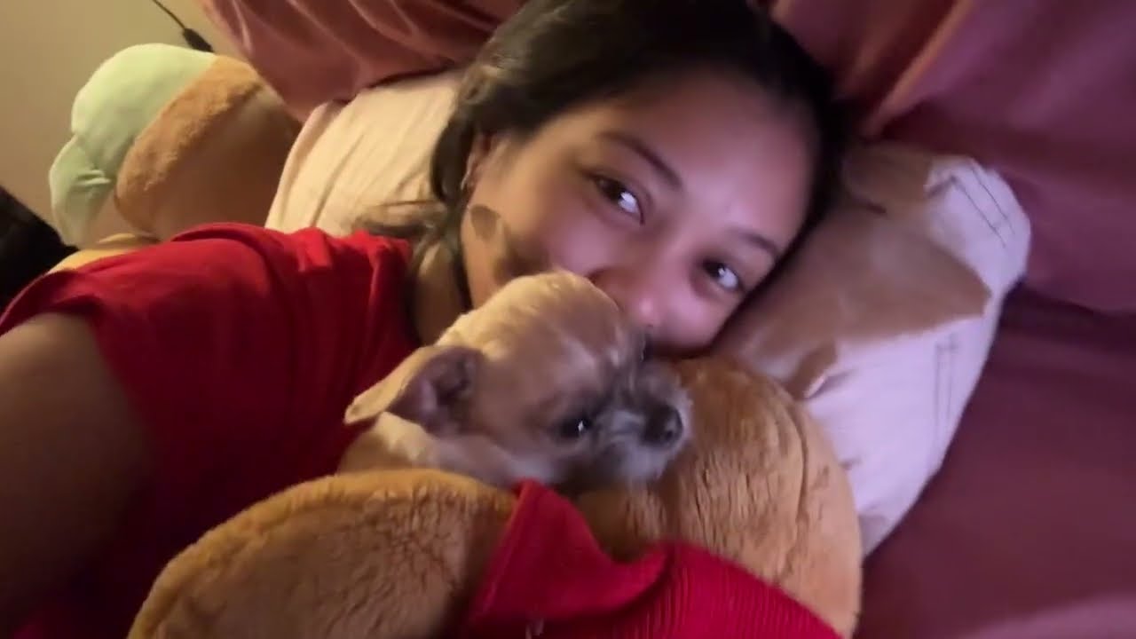 Bed Rest | Vlogmas 2025 - Day 14 