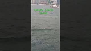 Season Spark Trixx #viral #amazing #trending #asmr #satisfying #2024 #follower #shortvideos