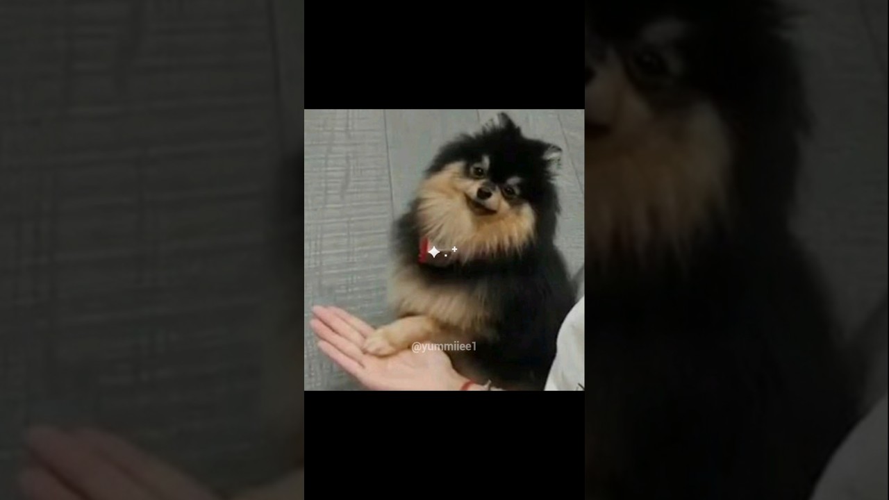 miss u tannie #yeontan #kimyeontan #taehyung #v #bts #bangtan #edits #edit #kpop #btsshorts #thv