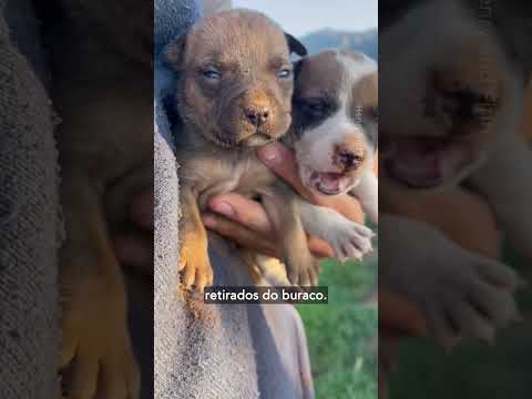 Essas pessoas foram