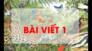 Bài 26: Bài viết 1 - Tiếng Việt lớp 2 - Bộ Cánh Diều [OLM.VN]